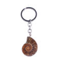 Pendule de pendentif pierre fossile naturelle gros pendentif clé chaîne voiture